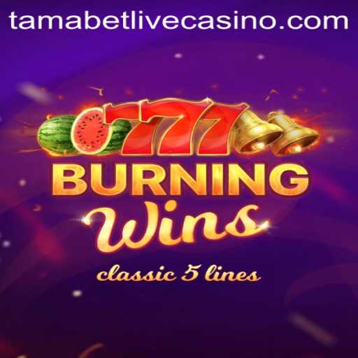 Burning Wins Slot Game Overview