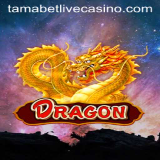 Diving into the World of 'Dragon': A Unique Journey with Tamabet