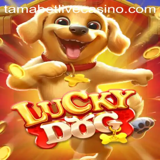Discover the Thrilling World of LuckyDog: A Game Intertwined with Tamabet