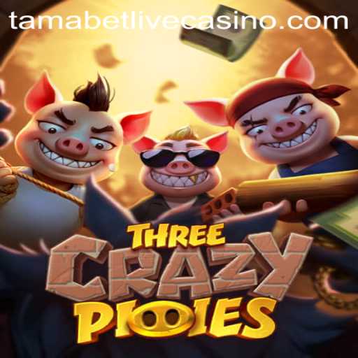 Discovering the Whimsical World of ThreeCrazyPiggies