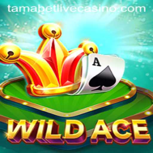 Unveiling WildAce: The Thrilling Adventure of Tamabet Awaits